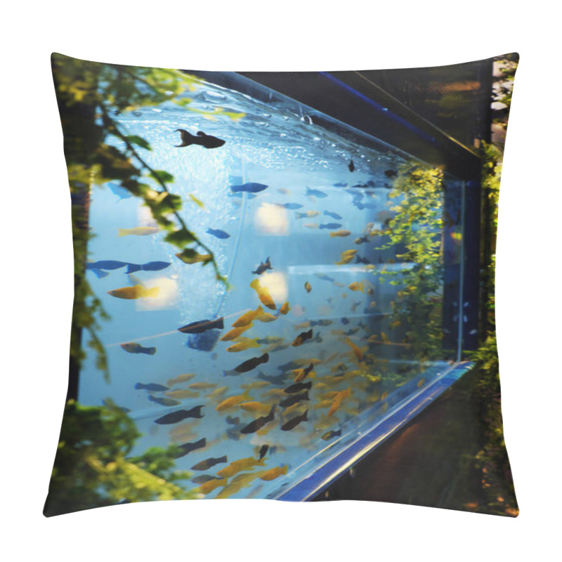 Personality  Group Of Ornamental Fish Swim In Aquarium At Home Pillow Covers