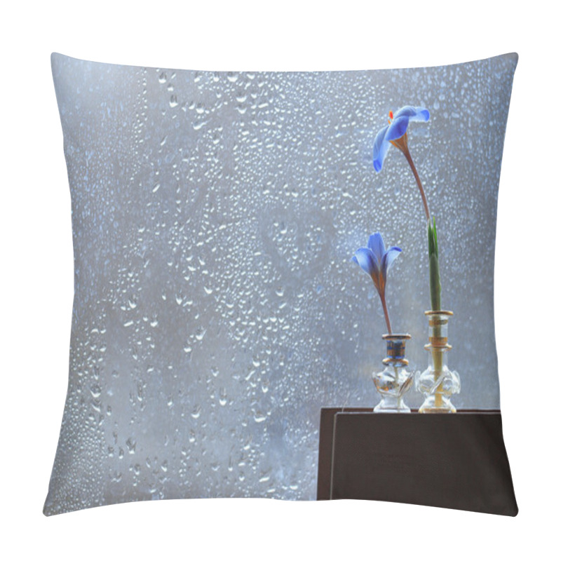 Personality  Blue Crocus Flowers On Book Pillow Covers