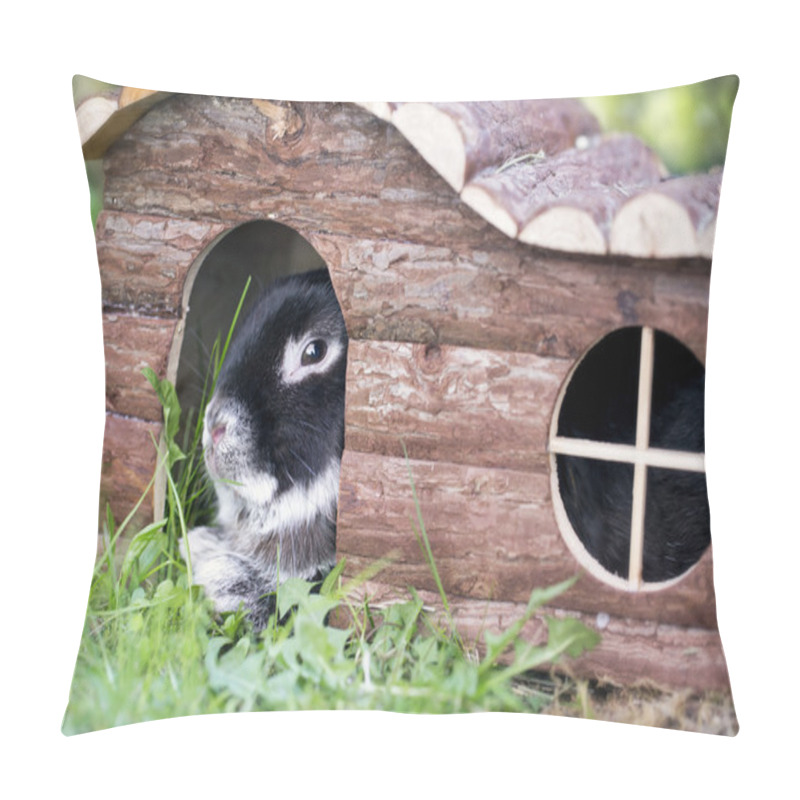 Personality  Bunny Rabbit Lying On Summer Grass Pillow Covers