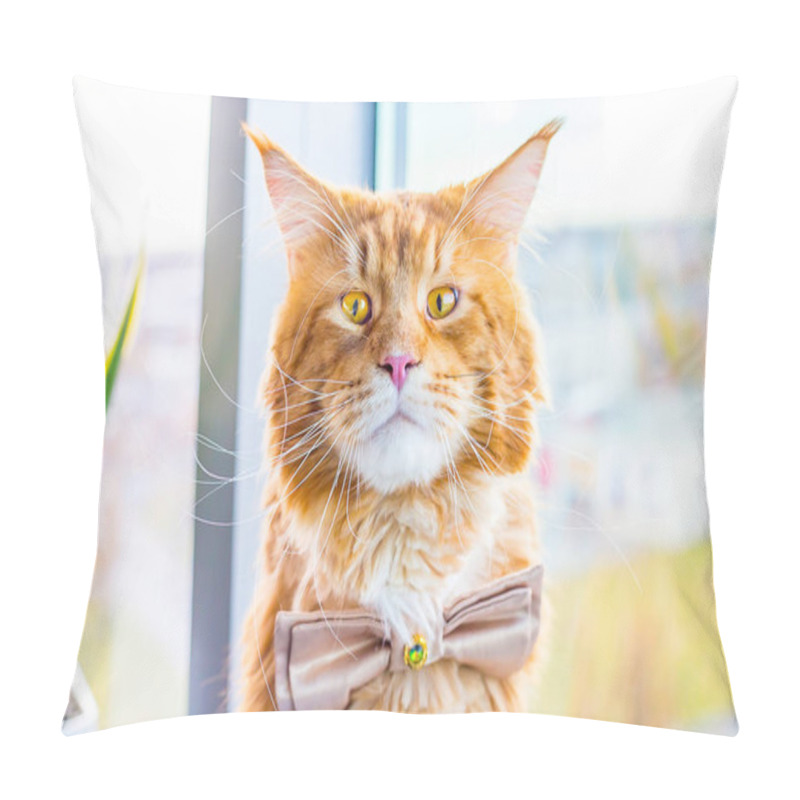 Personality  Funny Shocked Nervous Groom Maine Coon Cat Wearing Butterfly Tie And Waiting His Wedding, Wedding Concept, Humor Pillow Covers