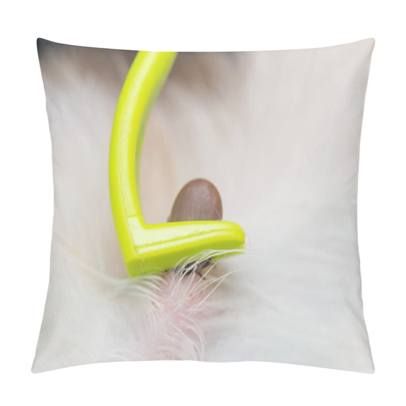 Personality  Removing A Tick From Cat Or Dog Skin With Tick Remover Tool Pillow Covers