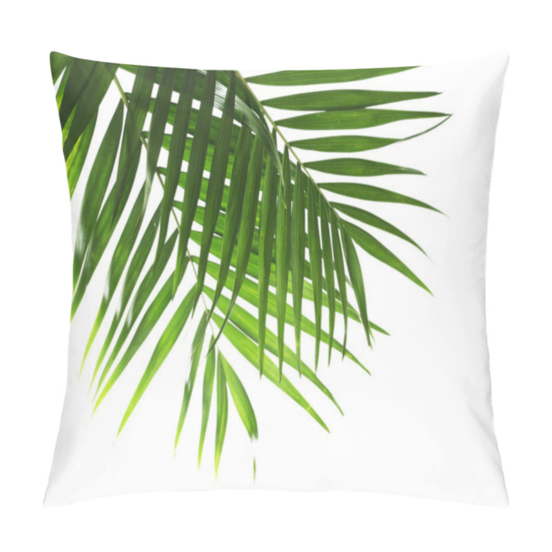 Personality  Leaf Of Palm Isolated On White Pillow Covers