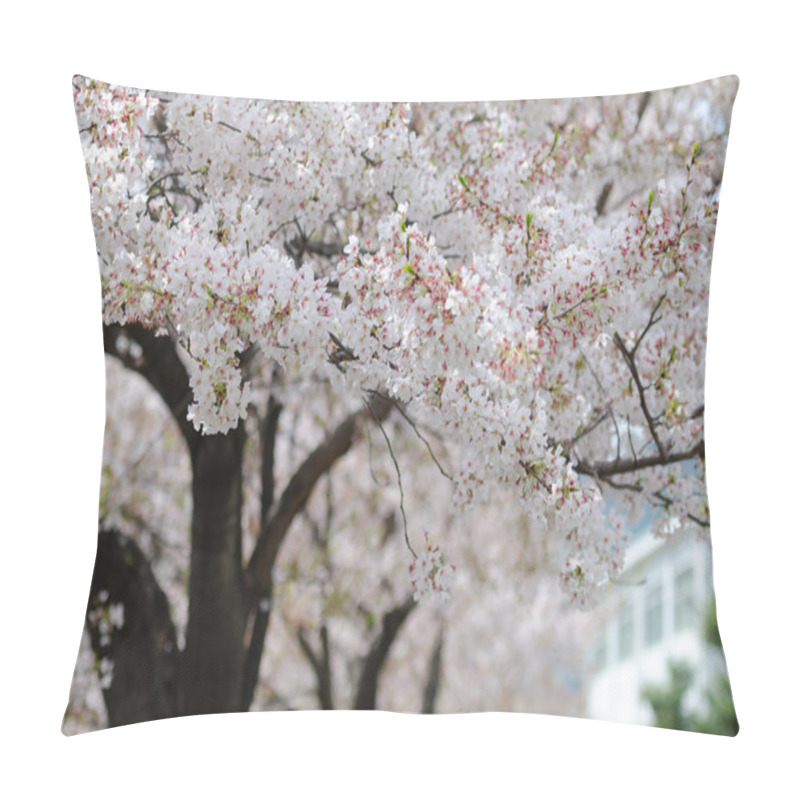 Personality  White Sakura Or Japan Cherry Blossom Branches, Which Will Fully  Pillow Covers