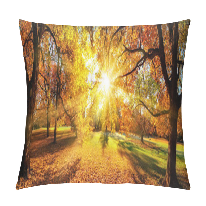 Personality  Amazing Panoramic Autumn Scenery In A Park Pillow Covers