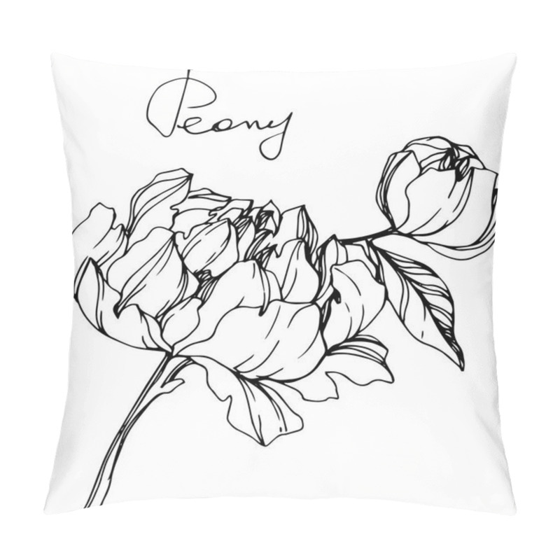 Personality  Vector Isolated Monochrome Peony Flowers Sketch And Handwritten Lettering On White Background. Engraved Ink Art.  Pillow Covers