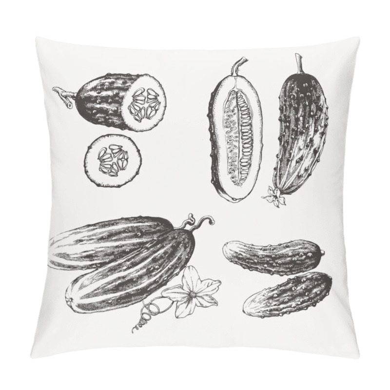 Personality  Ink Drawn Cucumbers Pillow Covers