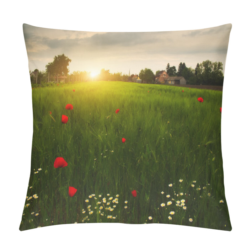 Personality  Poppies And Daisy Flowers Pillow Covers