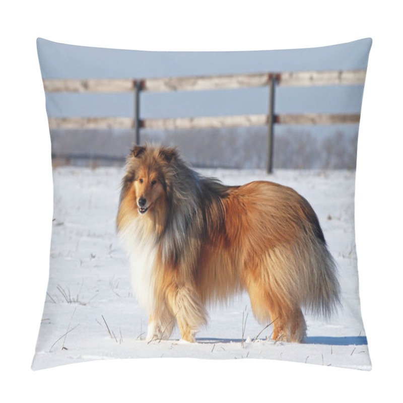 Personality  Red Long Haired Collie On Snow Pillow Covers