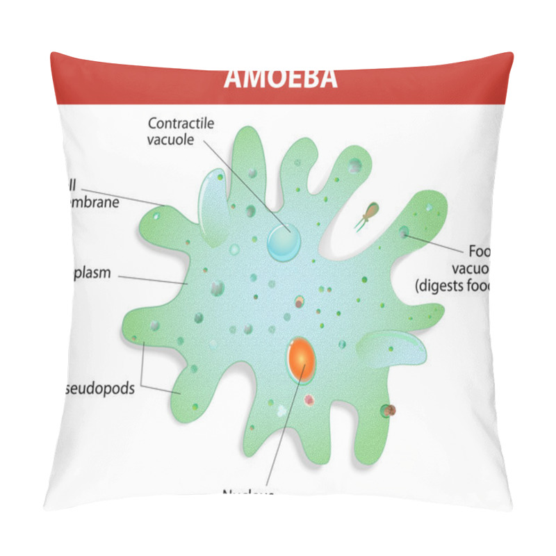 Personality  Structure Of An Amoeba Proteus Pillow Covers