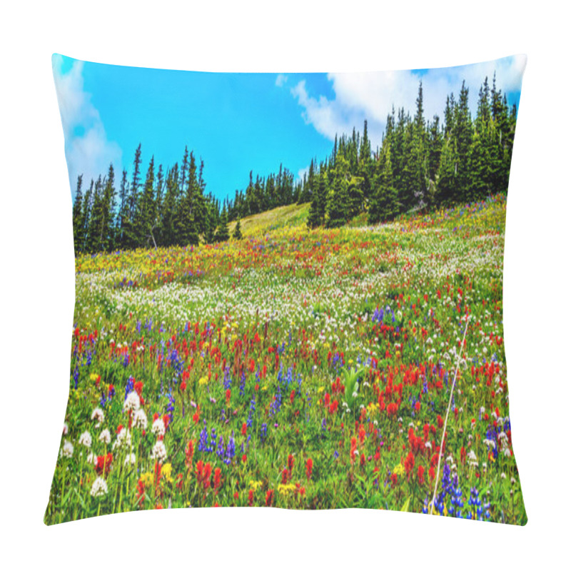 Personality  Hiking Through The Alpine Meadows Filled With Abundant Wildflowers. On Tod Mountain At The Alpine Village Of Sun Peaks In The Shuswap Highlands Of The Okanagen Region In British Columbia, Canada Pillow Covers