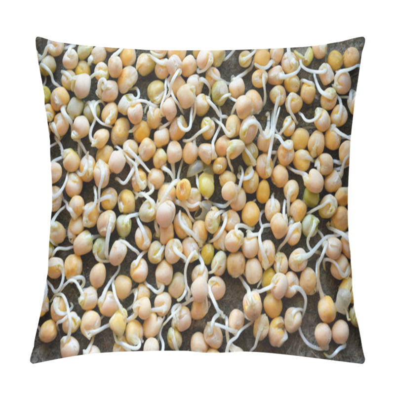 Personality  Three-Day-Old Pea Sprouts Microgreens Close-Up Pillow Covers