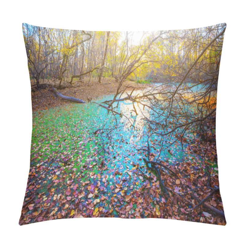 Personality  Small Green Lake In The Autumn Forest Covered By A Dry Leaves At The Sunset, Vivid Autumn Outdoor Scene Pillow Covers