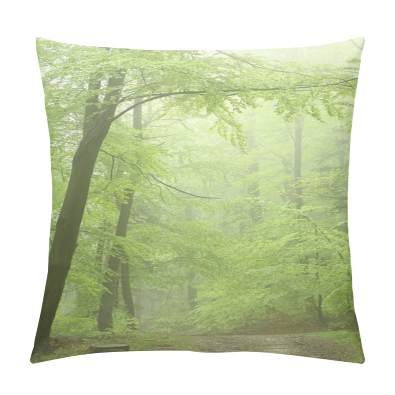 Personality  Misty Forest Path Among The Fresh Spring Leaves. Photo Taken In May. Pillow Covers