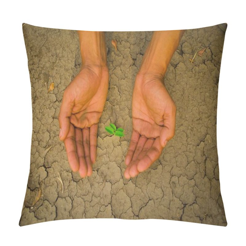 Personality  Hands Holding Tree Growing On Cracked Earth Pillow Covers