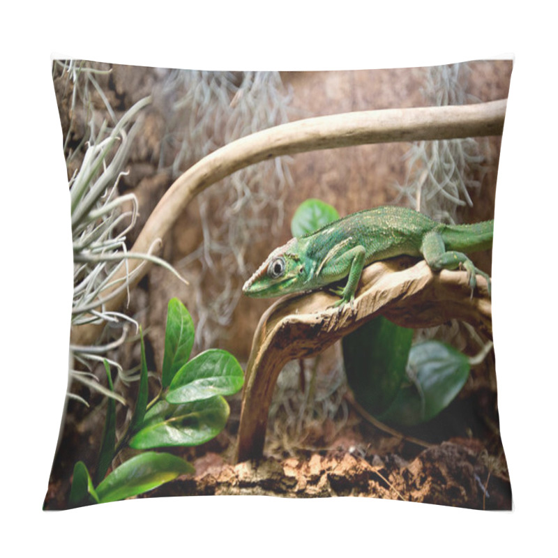 Personality  Green Lizard With A Long Tail Standing On A Piece Of Wood, Madagascar Pillow Covers