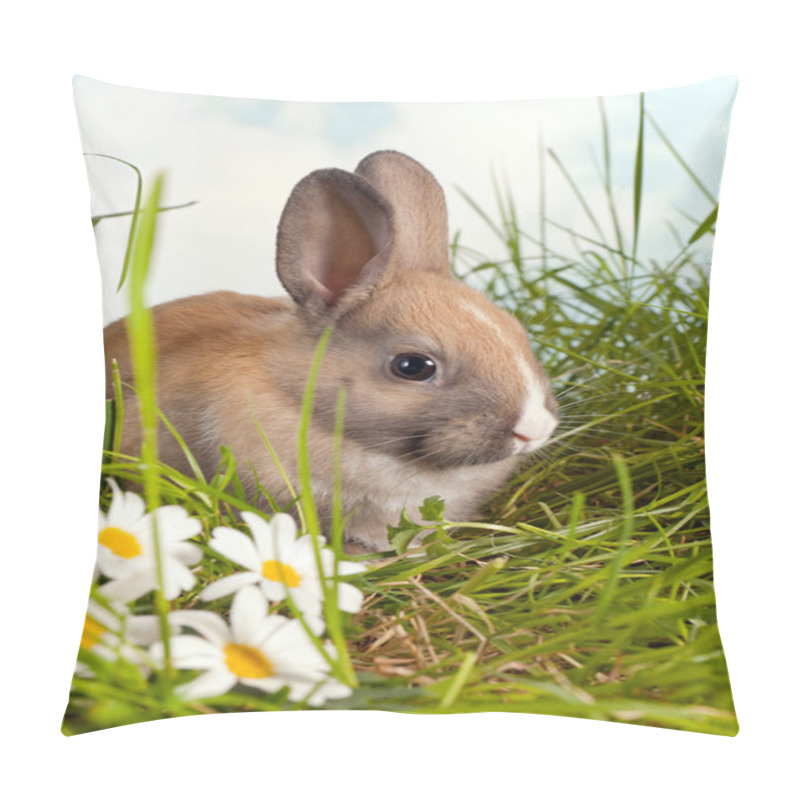 Personality  Bunny In Grass Pillow Covers