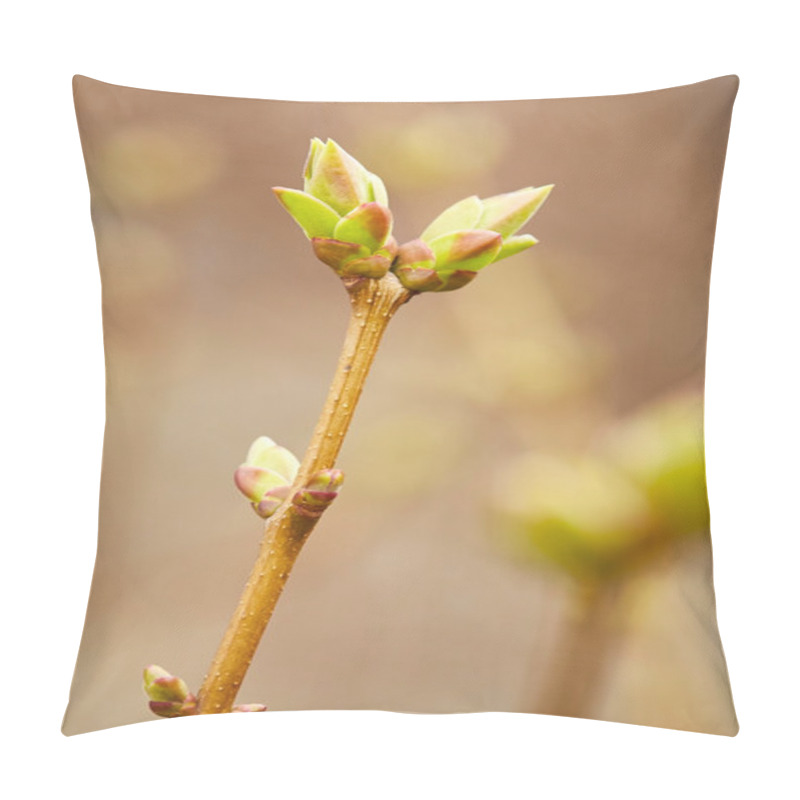 Personality  First Green Spring Buds  Pillow Covers