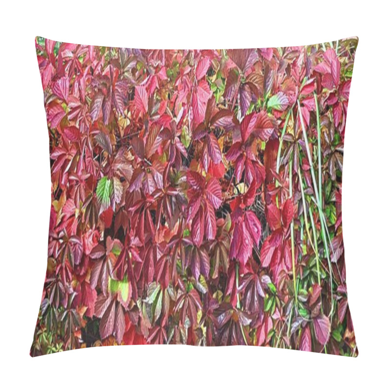 Personality  Ornamental Bushes With Red Leaves Are Intertwined On The Fences For Beauty. Pillow Covers