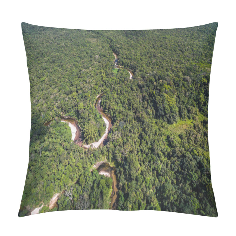 Personality  Top View Of River In Rainforest, Brazil Pillow Covers