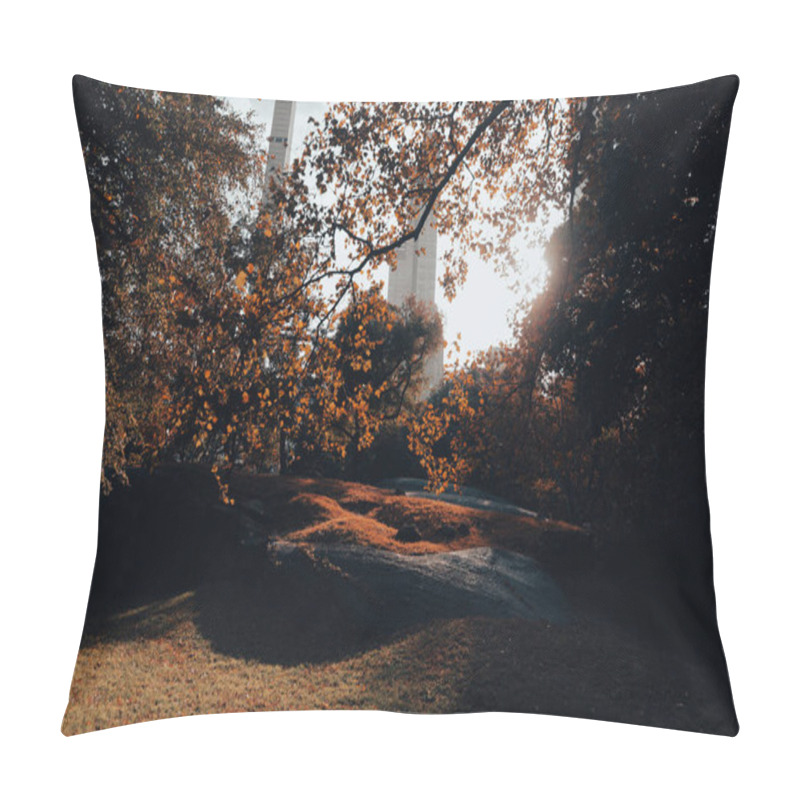 Personality  New York City Park With Lawn And Autumn Trees In Sunshine  Pillow Covers