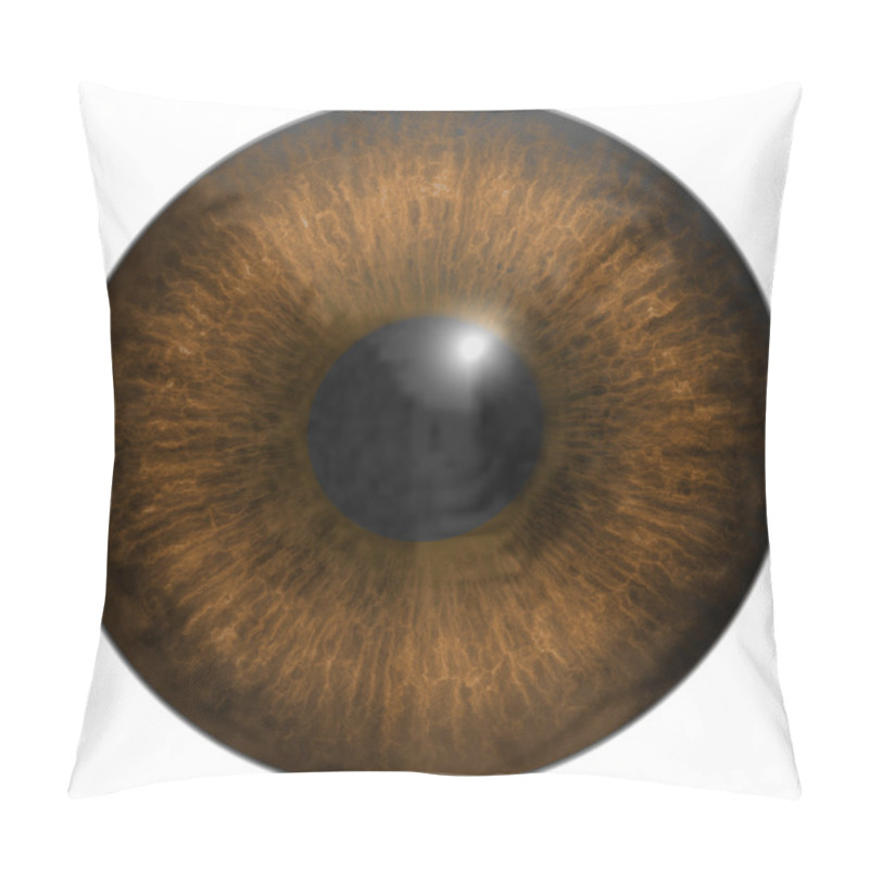 Personality  Eye Iris Generated Hires Texture Pillow Covers