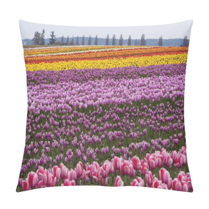 Personality  Tulip Farm Pillow Covers