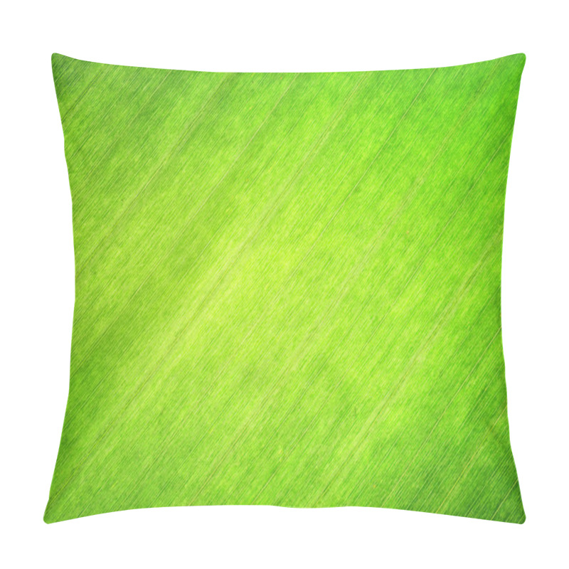 Personality  Texture Of Green Leaf. Nature Background. Pillow Covers