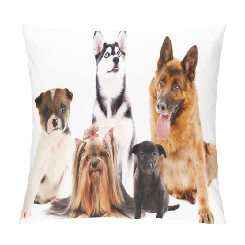 Personality  Cute Dogs Pillow Covers