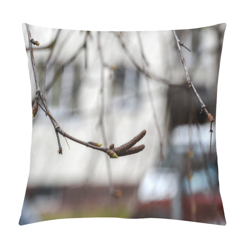 Personality  A Birch Twig With Two Catkins On The Tip, Close-up. On The Branch Are Blossoming Spring Buds, From Which The Light Green Tips Of The Leaves Have Appeared. Soft Diffused Natural Light Pillow Covers