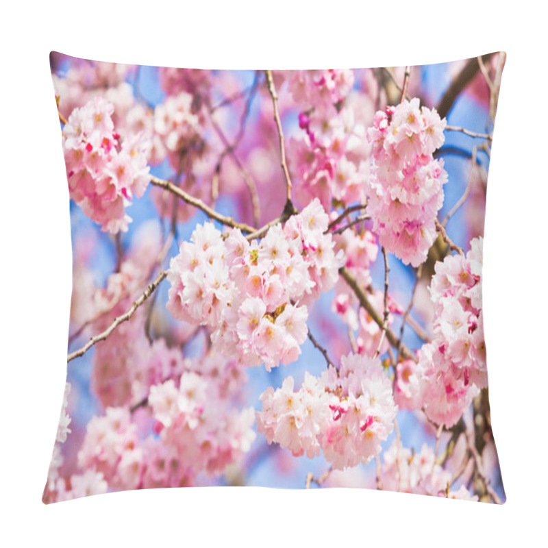 Personality  Sakura Flowers Blooming. Beautiful Pink Cherry Blossom  Pillow Covers