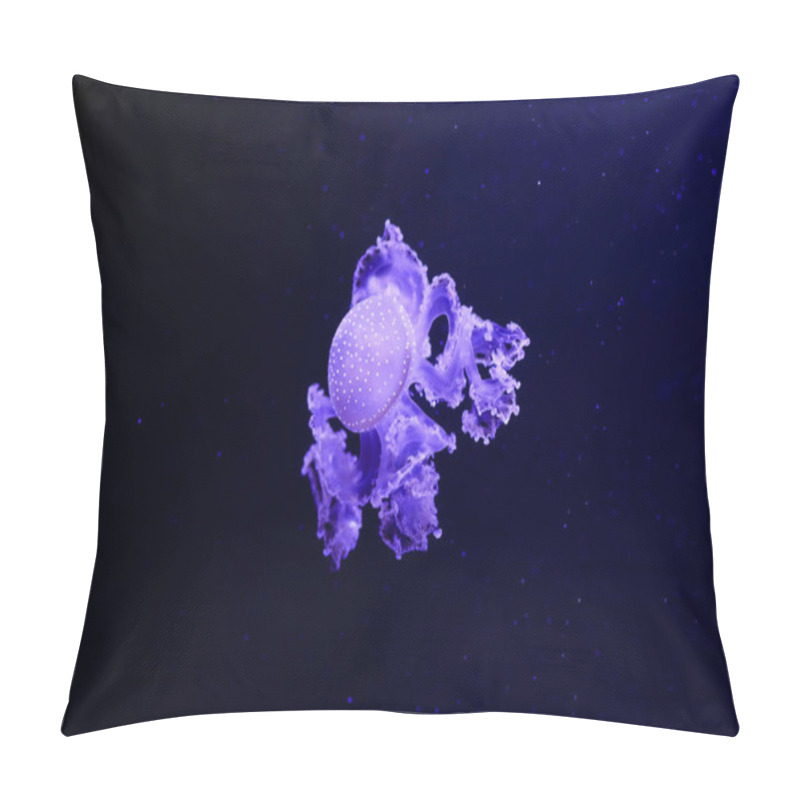 Personality  Beautiful Jellyfish, Medusa In The Neon Light With The Fishes. Underwater Life In Ocean Jellyfish. Exciting And Cosmic Sight Pillow Covers