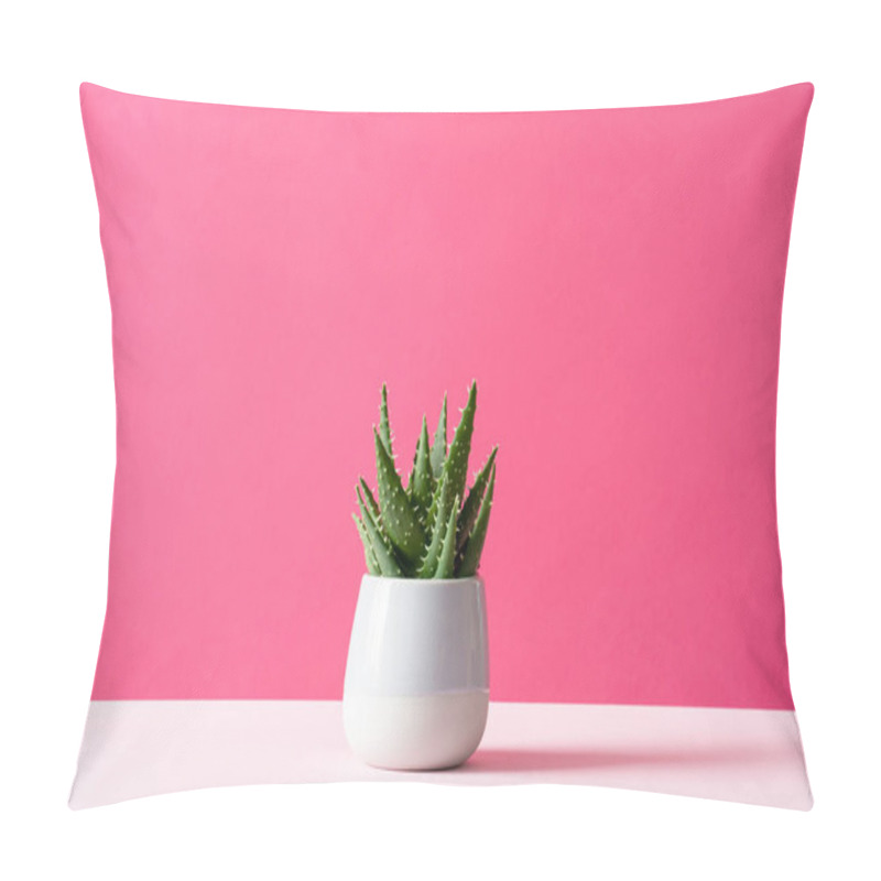 Personality  Aloe Cactus On Pink Background Succulent Plant In Pot Copy Space Minimal Summer Still Life Concept Pillow Covers