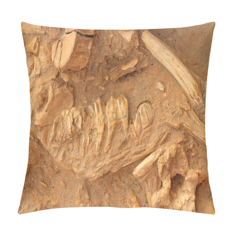 Personality  Ancient Fossil Jaw Bone Pillow Covers