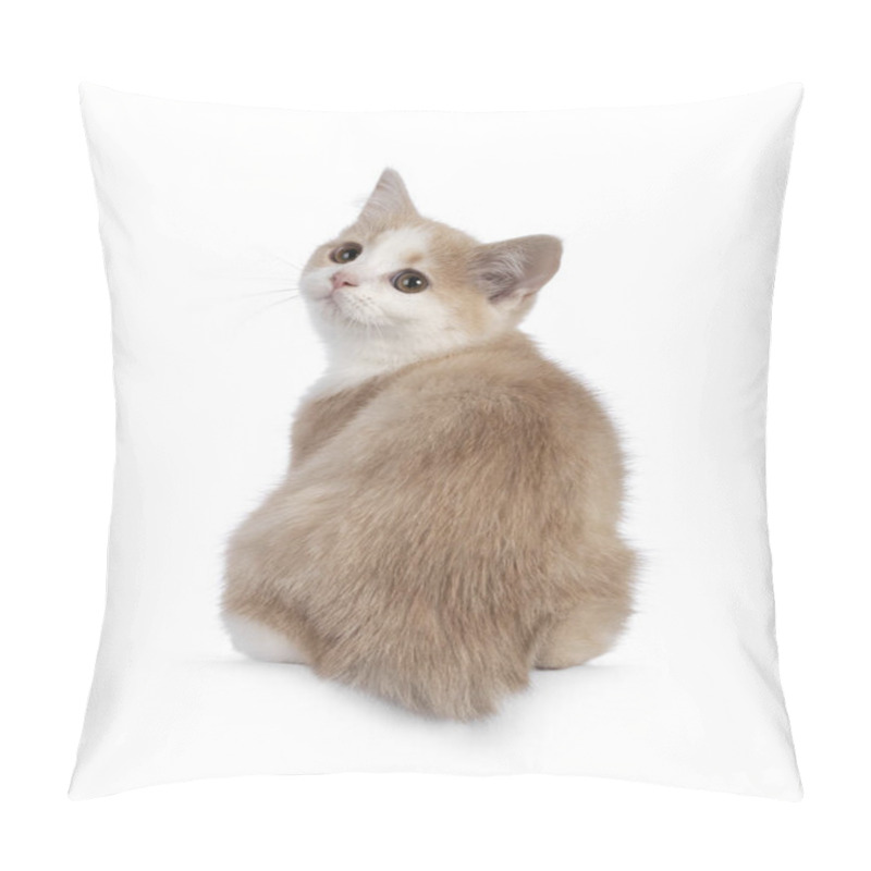 Personality  Adorable Tailless Manx Cat Kitten, Sitting Backwards On Edge Looking Towards Camera With Sweet Droopy Eyes. Isolated On A White Background. Pillow Covers