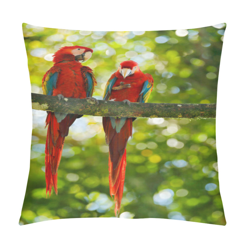 Personality  Red Parrot Pair Love In Dark Green Vegetation. Scarlet Macaw, Ara Macao, In Tropical Forest, Brazil. Wildlife Scene From Nature. Two Parrot Couple In The Green Jungle Habitat. Pillow Covers