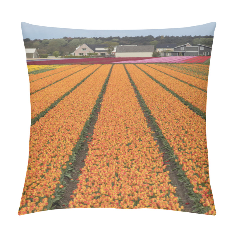 Personality  Tulip Fields Of The Bollenstreek, South Holland, Pillow Covers