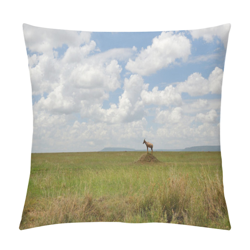 Personality  African Savannah Pillow Covers