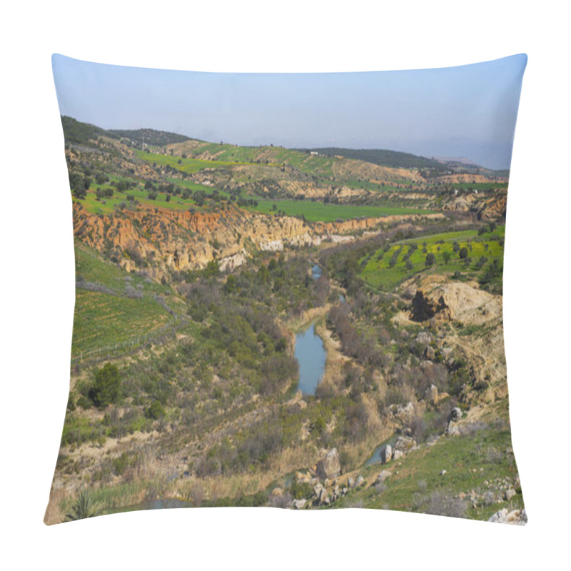 Personality  Tunisian Landscape - Oued Mellegue - Northern Tunisian Pillow Covers