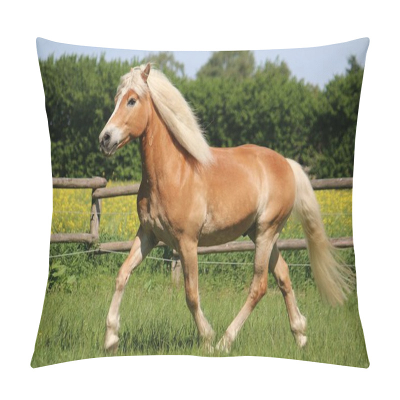 Personality  Beautiful Haflinger Horse Is Running On A Paddock In The Sunshine Pillow Covers