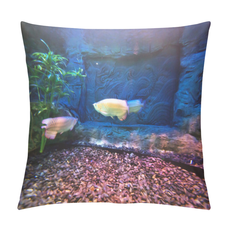 Personality  Cute Little Fish In An Aquarium Pillow Covers