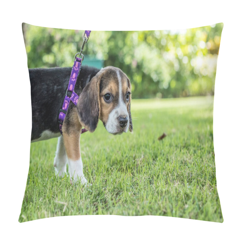 Personality  Happy Beagle Dog On A Natural Green Background Of Tropical Bali Island, Indonesia. Pillow Covers