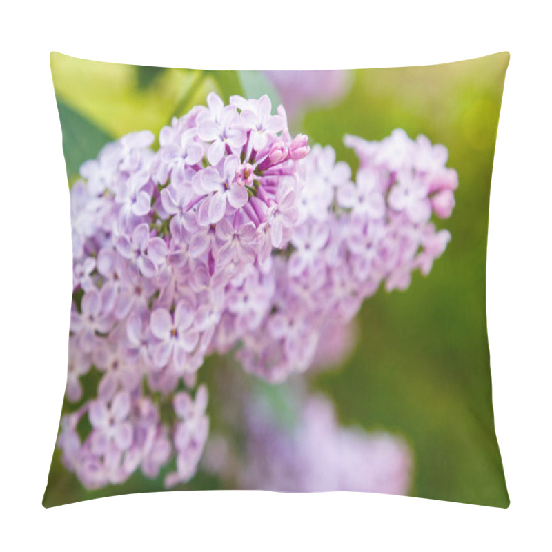 Personality  Lilac Branches On The Background Of The Park Or Garden. Spring Branches Of Blossoming Lilac Pillow Covers