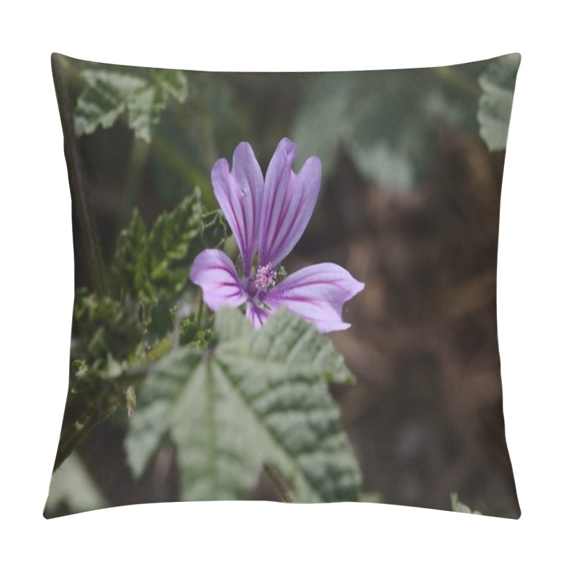 Personality  Wild Mallows In Bloom Seen Up Close Pillow Covers