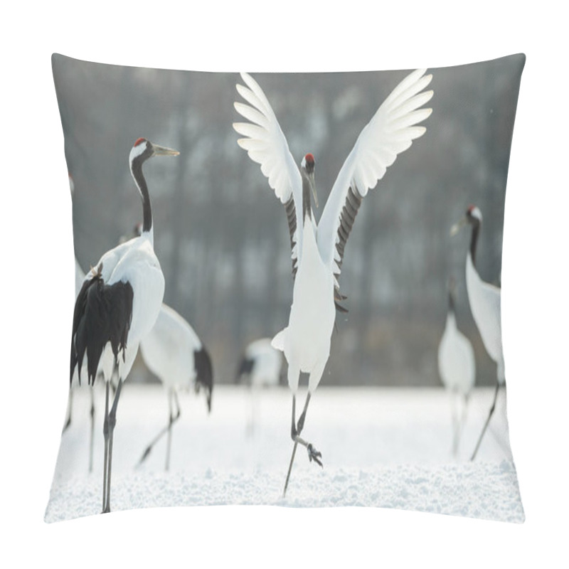 Personality  The Ritual Marriage Dance Of Cranes. The Red-crowned Cranes. Scientific Name: Grus Japonensis, Also Called The Japanese Crane Or Manchurian Crane, Is A Large East Asian Crane. Pillow Covers