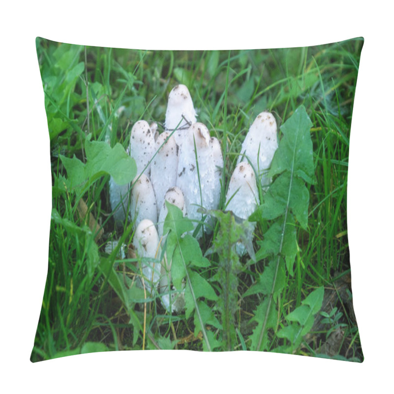 Personality  Group Of Shaggy Ink Cap Mushrooms In The Grass Coprinus Comatus, Shaggy Mane, Shaggy Inkcap, Lawyers Wig, Coprin Chevelu, Schopftintling, Agarico Chiomato, Geschubde Inktzwam, Gyapjas Tintagomba Pillow Covers