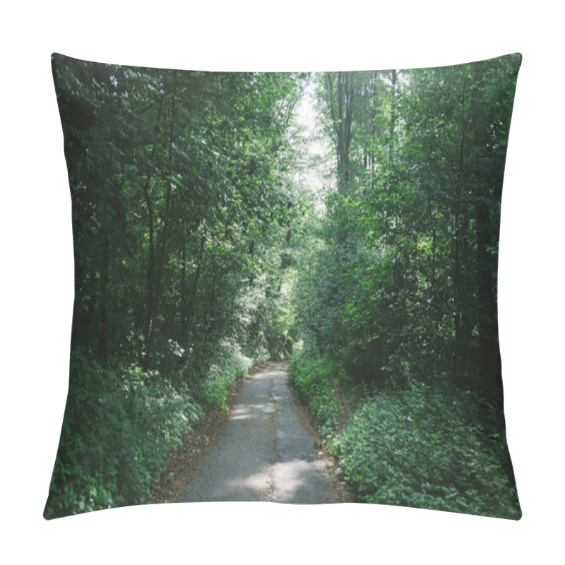 Personality  Road Between Green Trees In Beautiful Forest In Hamburg, Germany  Pillow Covers