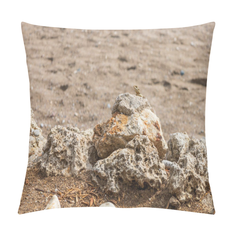 Personality  A Large Wild Lizard On A Rock. Pillow Covers