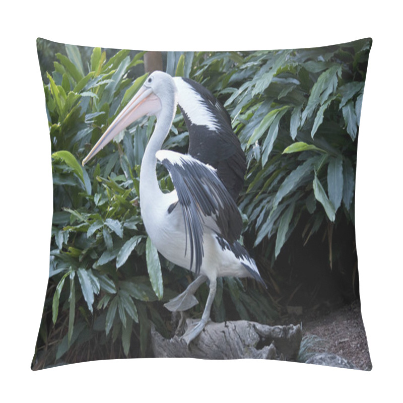 Personality  The Pelican Is Flapping Its Wings To Keep It Balance Pillow Covers