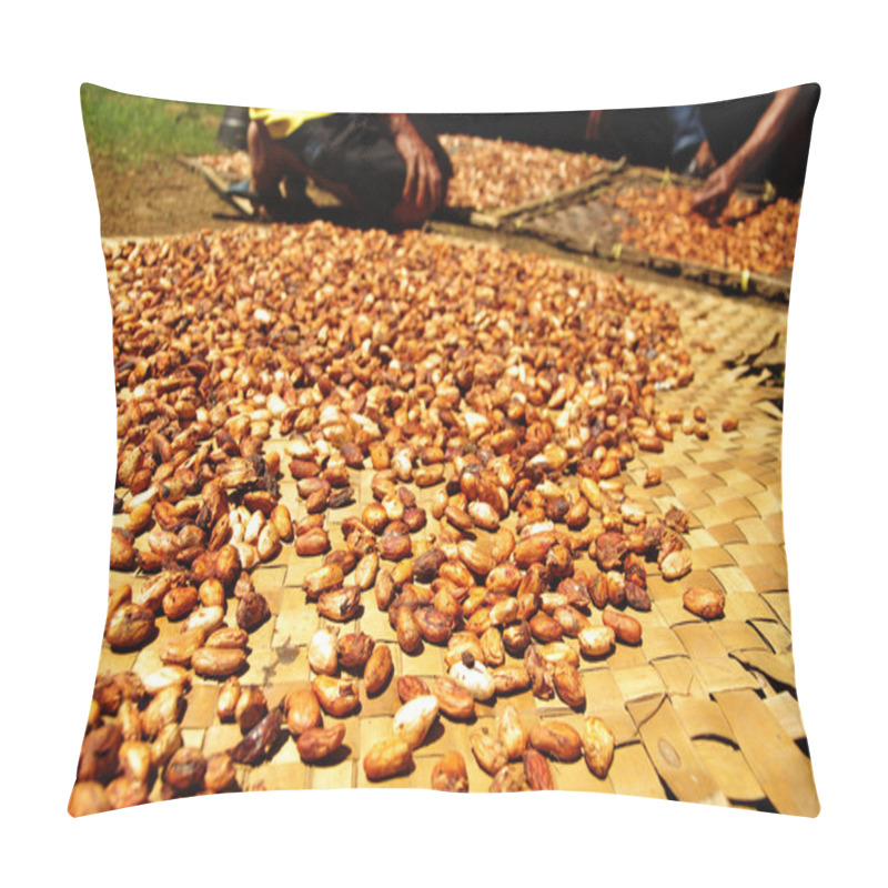 Personality  Fresh Raw Cacao Beans At The Farm Pillow Covers