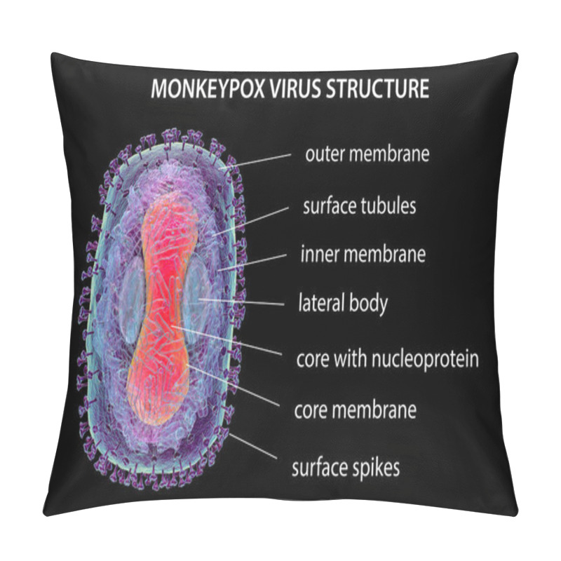 Personality  Structure Of Monkeypox Virus, 3D Illustration. A Zoonotic Virus From Poxviridae Family, Causes Monkeypox, A Pox-like Disease Pillow Covers